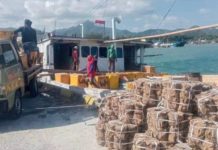 KLM Ayta CK2 Hilang Kontak di Bawean, Tim Gabungan Lakukan Pencarian