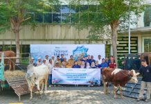 PT Terminal Teluk Lamong Laksanakan Program Pelindo Berbagi Hewan Kurban, 12 Sapi dan 21 Kambing Buat Masyarakat Sekitarnya