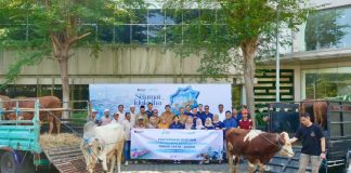PT Terminal Teluk Lamong Laksanakan Program Pelindo Berbagi Hewan Kurban, 12 Sapi dan 21 Kambing Buat Masyarakat Sekitarnya