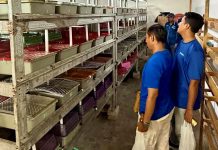 Dorong Kemandirian Ekonomi Masyarakat Pesisir, PT Terminal Teluk Lamong Raih Penghargaan Kategori Gold Dalam Ajang TJSL & CSR Award 2026