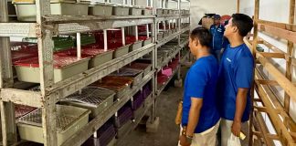 Dorong Kemandirian Ekonomi Masyarakat Pesisir, PT Terminal Teluk Lamong Raih Penghargaan Kategori Gold Dalam Ajang TJSL & CSR Award 2026