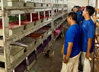 Dorong Kemandirian Ekonomi Masyarakat Pesisir, PT Terminal Teluk Lamong Raih Penghargaan Kategori Gold Dalam Ajang TJSL & CSR Award 2026