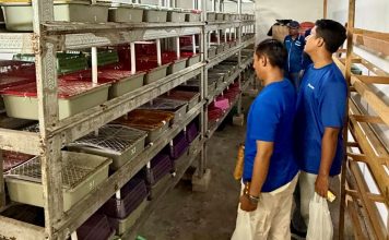 Dorong Kemandirian Ekonomi Masyarakat Pesisir, PT Terminal Teluk Lamong Raih Penghargaan Kategori Gold Dalam Ajang TJSL & CSR Award 2026