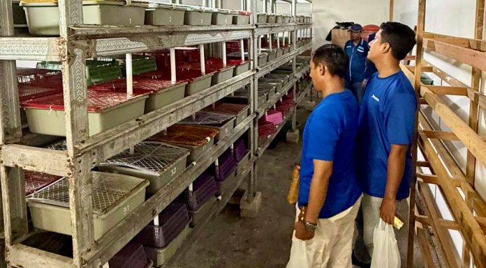 Dorong Kemandirian Ekonomi Masyarakat Pesisir, PT Terminal Teluk Lamong Raih Penghargaan Kategori Gold Dalam Ajang TJSL & CSR Award 2026